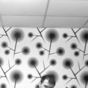 ���������� ���������, ���� ������� Vix, 40 ���, ������������ ��� ������, ����� � ���������, c�������� ���������