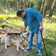 ���������� ������, ���� ������� ����, 52 ����, ������������ ��� ����� � ���������, c�������� ���������