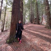 ���������� ����, ���� ������� �����, 39 ���, ������������ 