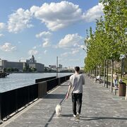 ���������� ������, ���� ������� Eduard, 26 ���, ������������ ��� ������, ����� � ���������