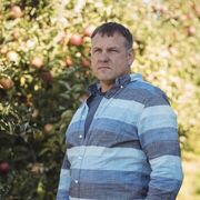 ���������� ������������, ���� ������� ����������, 49 ���, ������������ ��� ������, ����� � ���������, c�������� ���������, ���������