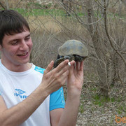 ���������� ���������, ���� ������� ����, 36 ���, ������������ ��� ������