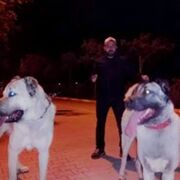  ,   Serhat Kaya, 40 ,   ,   , c 