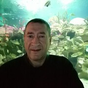  ,  , 51