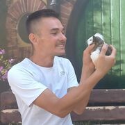 ���������� ������, ���� ������� �����, 43 ����, ������������ ��� c�������� ���������