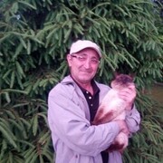  --,   , 56 ,   ,   