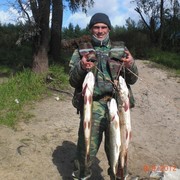 ���������� ������, ���� ������� ���������, 48 ���, ������������ ��� ������, ����� � ���������, c�������� ���������