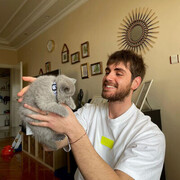 ���������� ����, ���� ������� Sameh, 36 ���, ������������ ��� ������, ����� � ���������