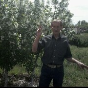  ,   , 59 ,   c 