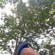 ���������� �������, ���� ������� �����, 38 ���, ������������ ��� ������, ����� � ���������, c�������� ���������, ���������