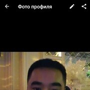  -,   Zamir, 41 ,   ,   , c 
