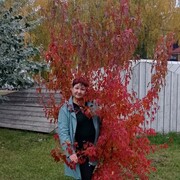  ,   , 51 ,     