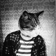  -,   Vladimir, 40 ,     , c 