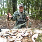   ,   Ochotnik, 65 ,  