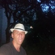   ,   , 41 ,  