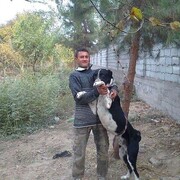 ���������� ����������, ���� ������� �������, 40 ���, ������������ 