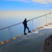 ���������� ������, ���� ������� �������, 44 ����, ������������ ��� ������, ����� � ���������