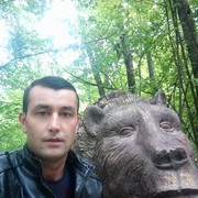 ���������� �������, ���� ������� ������, 38 ���, ������������ ��� ������, ����� � ���������, c�������� ���������, ���������