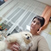  ,   , 44 ,   , c , 