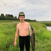  ,   , 37 ,   