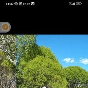 ���������� ������� ��������, ���� ������� ������, 60 ���, ������������ ��� ������, ����� � ���������