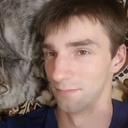  ,   , 28 ,     , c 
