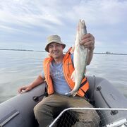 ���������� �����������, ���� ������� ����, 38 ���, ������������ ��� ������, ����� � ���������