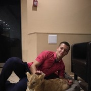  ,   , 31 ,   