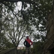 ���������� �����-���������, ���� ������� ArtemSkiShin, 44 ����, ������������ ��� ������, ����� � ���������, c�������� ���������, ���������