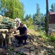 ���������� ���������, ���� ������� �������, 38 ���, ������������ ��� ������, ����� � ���������