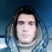  ,   , 41 ,     , c 