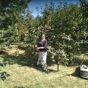 ���������� �������, ���� ������� �������, 75 ���, ������������ ��� ������, ����� � ���������