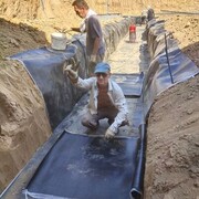 ���������� �������, ���� ������� �������, 54 ����, ������������ ��� ����� � ���������, c�������� ���������, ���������