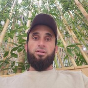  ,   , 31 ,   ,   , c , 