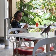  ,   , 25 ,   ,   , c 