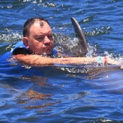 ���������� ����, ���� ������� �����, 43 ����, ������������ ��� ������, ����� � ���������