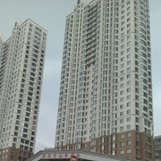 ���������� ���������, ���� ������� ���������, 49 ���, ������������ ��� ������, ����� � ���������, c�������� ���������