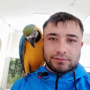 ���������� ������������, ���� ������� Avaz, 32 ����, ������������ ��� ������, ����� � ���������