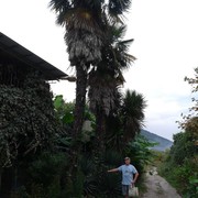 ���������� �����, ���� ������� �����, 45 ���, ������������ ��� ������, ����� � ���������, c�������� ���������