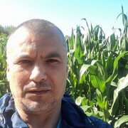  Gillenfeld,  Mihail, 44