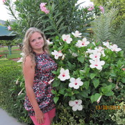 ���������� ������ ��������, ���� ������� �����, 44 ����, ������������ ��� ����� � ���������, c�������� ���������