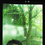 ���������� �������, ���� ������� 998946627970, 33 ����, ������������ ��� ������, ����� � ���������, c�������� ���������