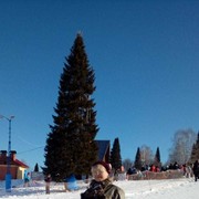  -,   , 51 ,     , c 