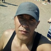  -,   , 41 ,  