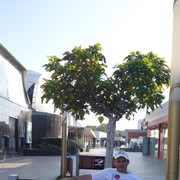  -,   , 45 ,   ,   , c 