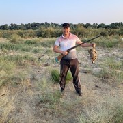 ���������� �������, ���� ������� �����, 36 ���, ������������ ��� ������, ����� � ���������, c�������� ���������