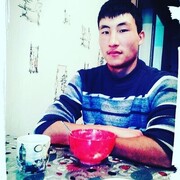  ,   Nurba, 33 ,   ,   