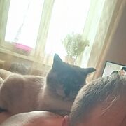  --,   , 32 ,   