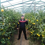  ,   , 40 ,   ,   