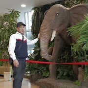 ���������� ������, ���� ������� Mayrambek, 40 ���, ������������ ��� ������, ����� � ���������